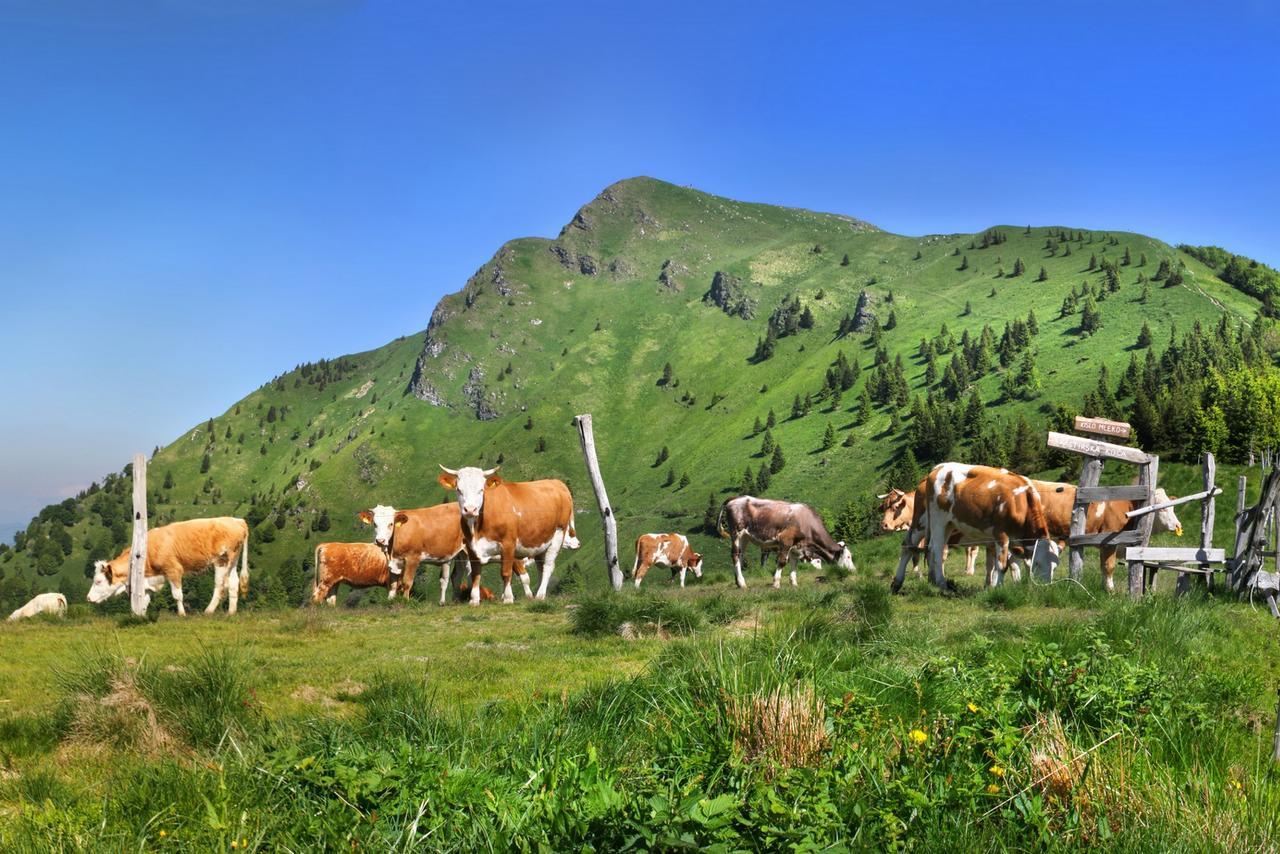 Hostel Prenocisca Cerkno Zewnętrze zdjęcie