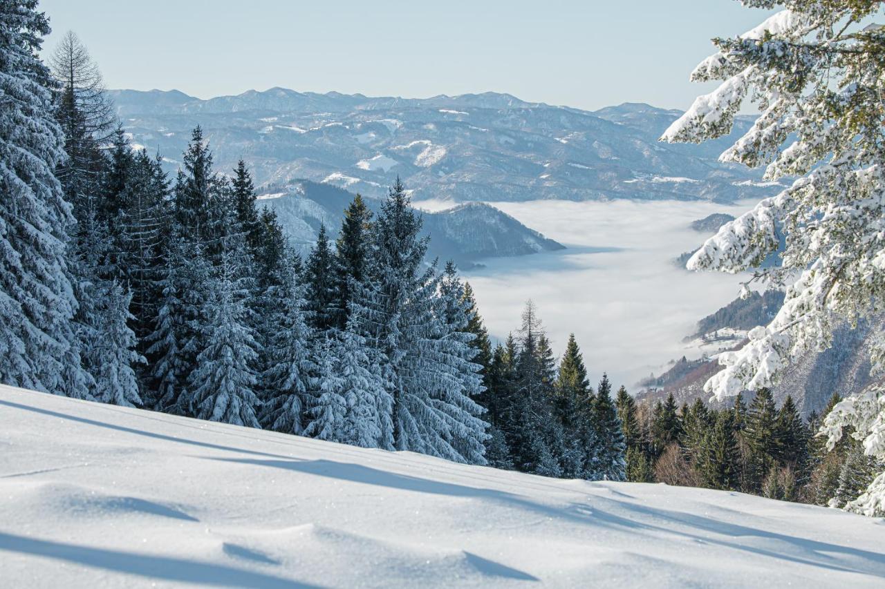 Hostel Prenocisca Cerkno Zewnętrze zdjęcie